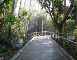 Ellen Browning Scripps donated funds to build the Ellen Browning Scripps donated funds to build the Scripps Flight Cage for shore and wading birds. Upon its inauguration, it was the biggest aviary in